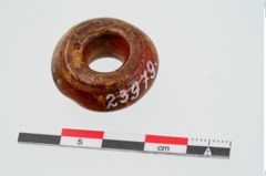 Foto von Bernsteinringperle (NHMW-PRAE-023979)